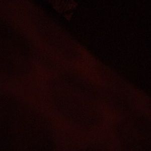 Meet your Posher, Nevaeh